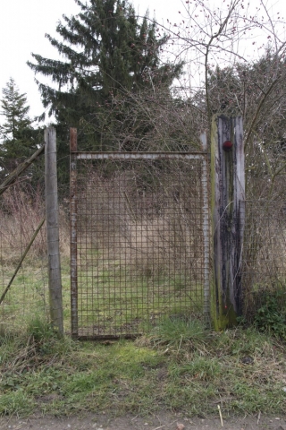 Ingelheim (2015)