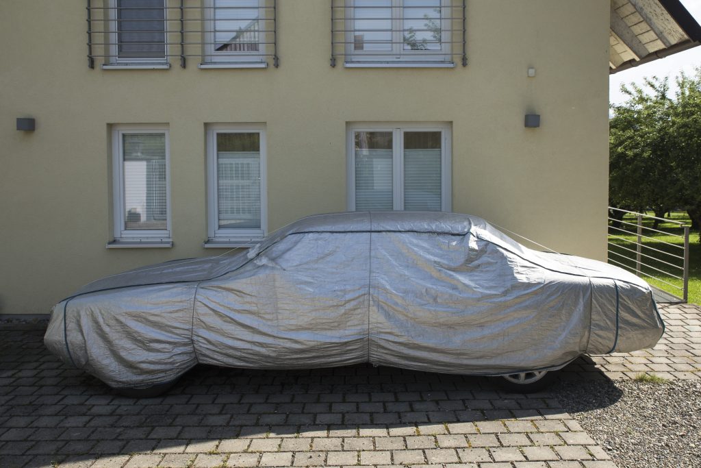 Insel Reichenau (2018)