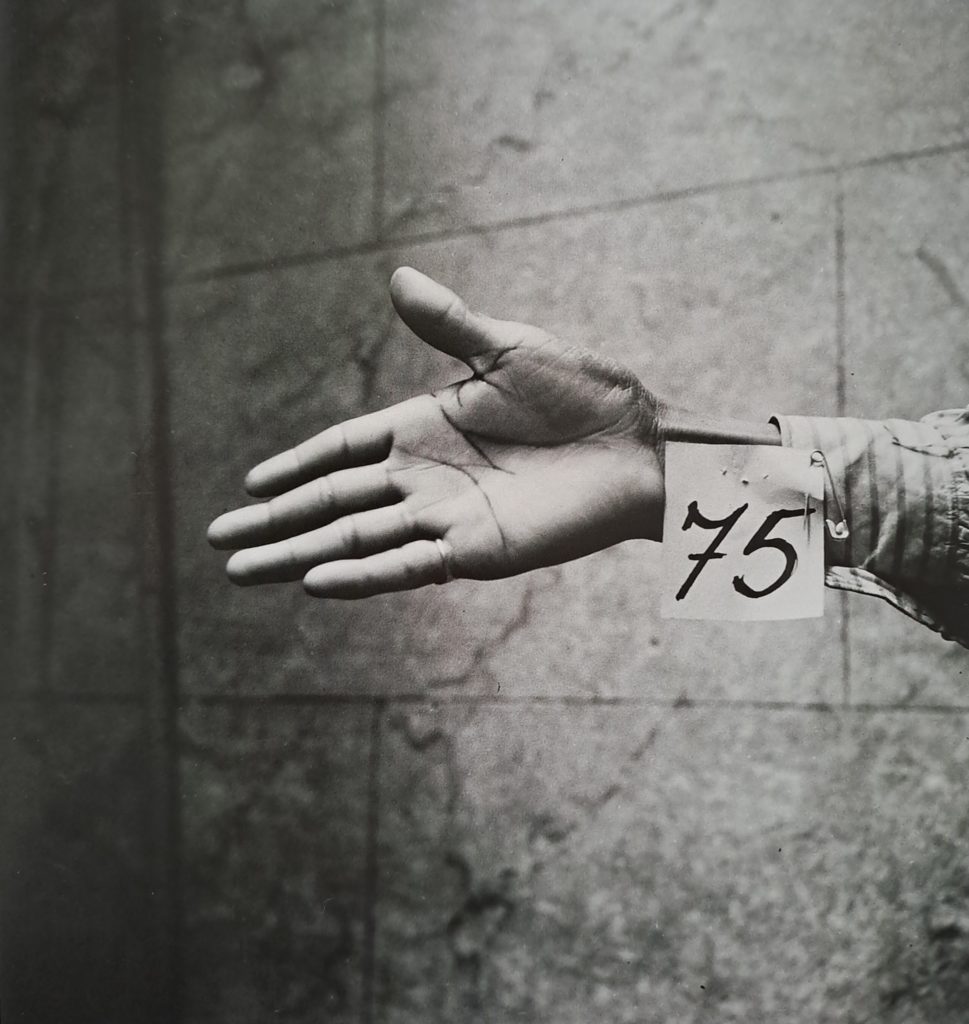 Hand 75. Erkennungsdienstliches Bild