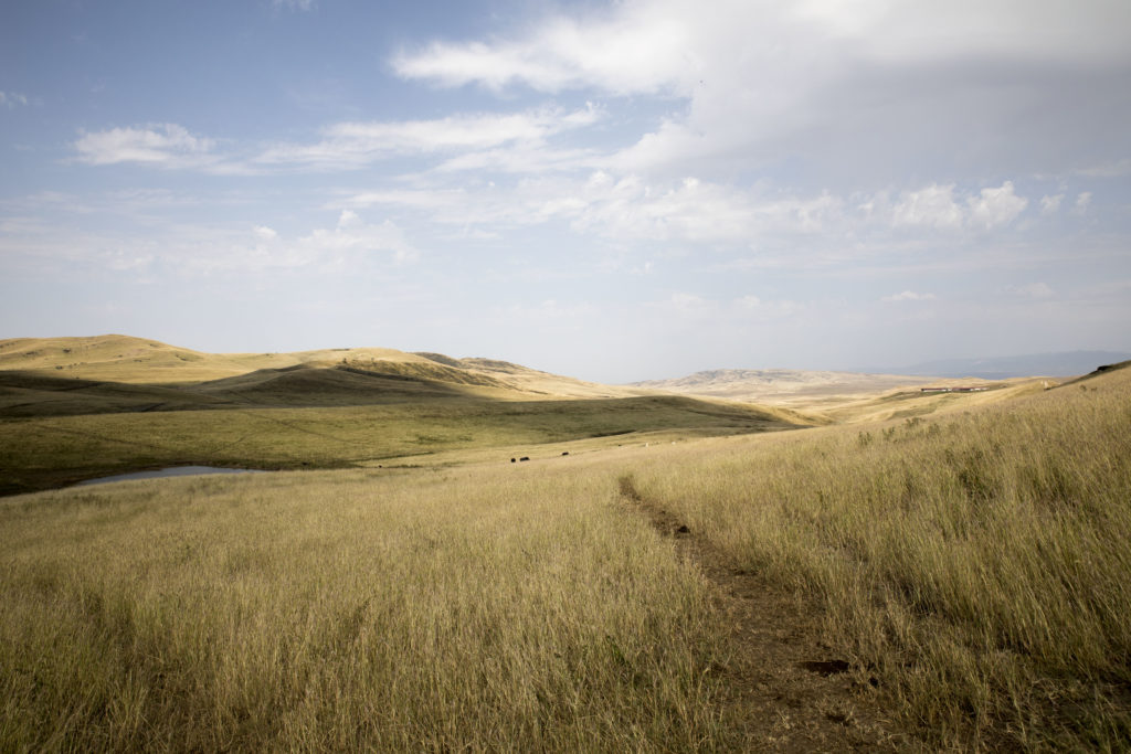 Georgien, Garedscha-Halbwüste (09/2024)