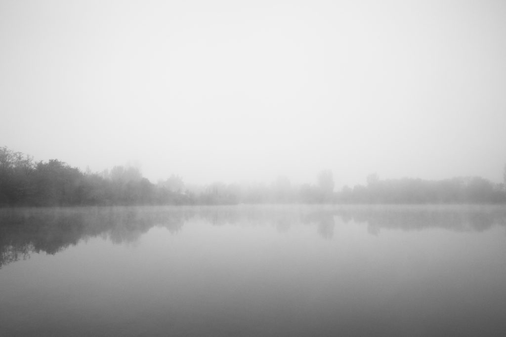 Ingelheim, Ikasee (04/2025)