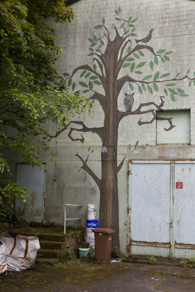 Hiinterwaidenthal (2019)