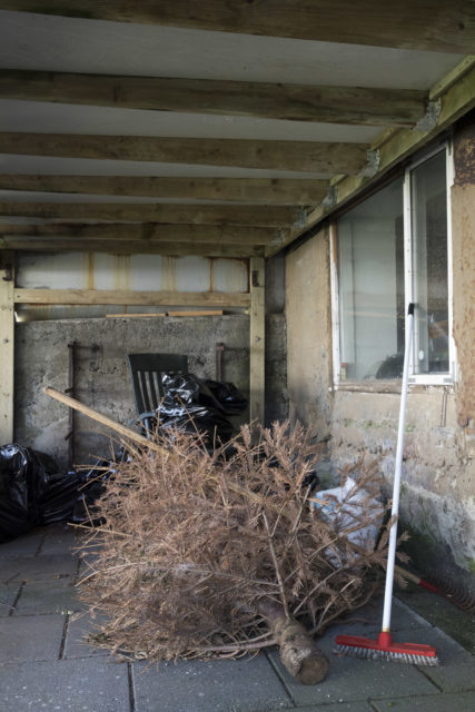 Island, Reykjavik (2025)