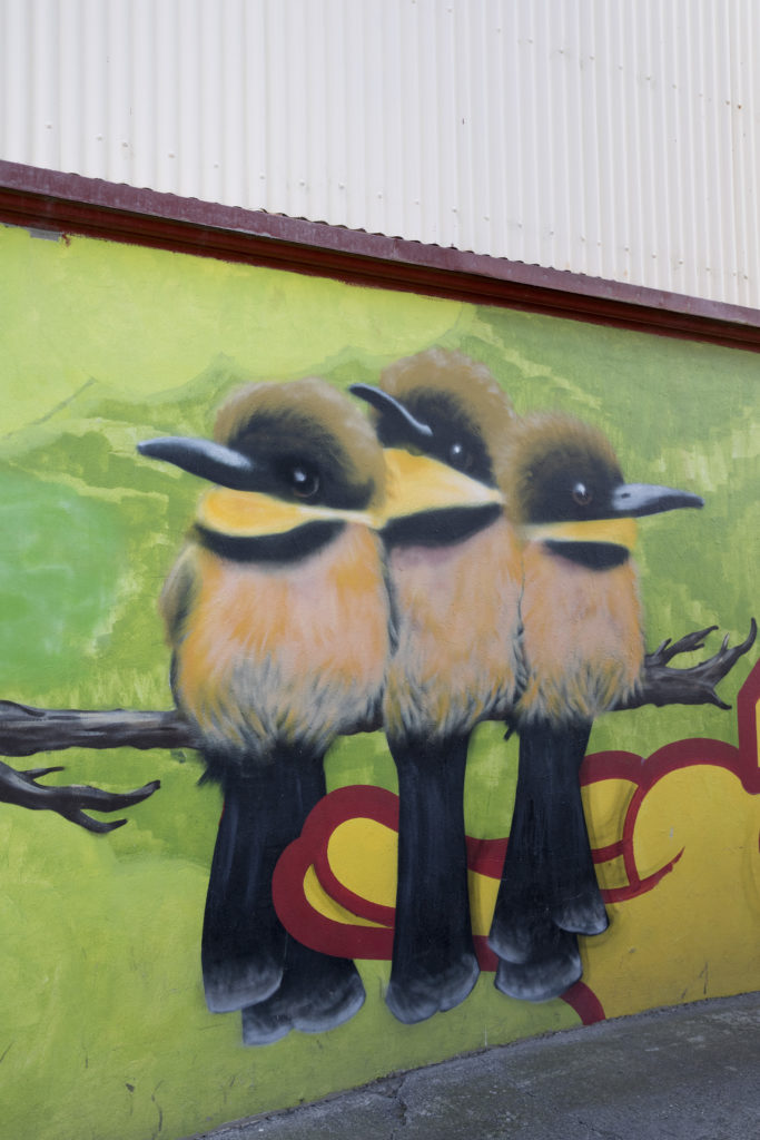 Island, Reykjavik (2025)