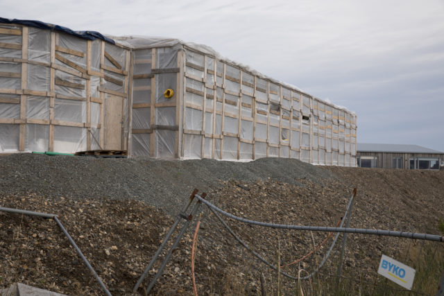 Island, Höfn (2025)