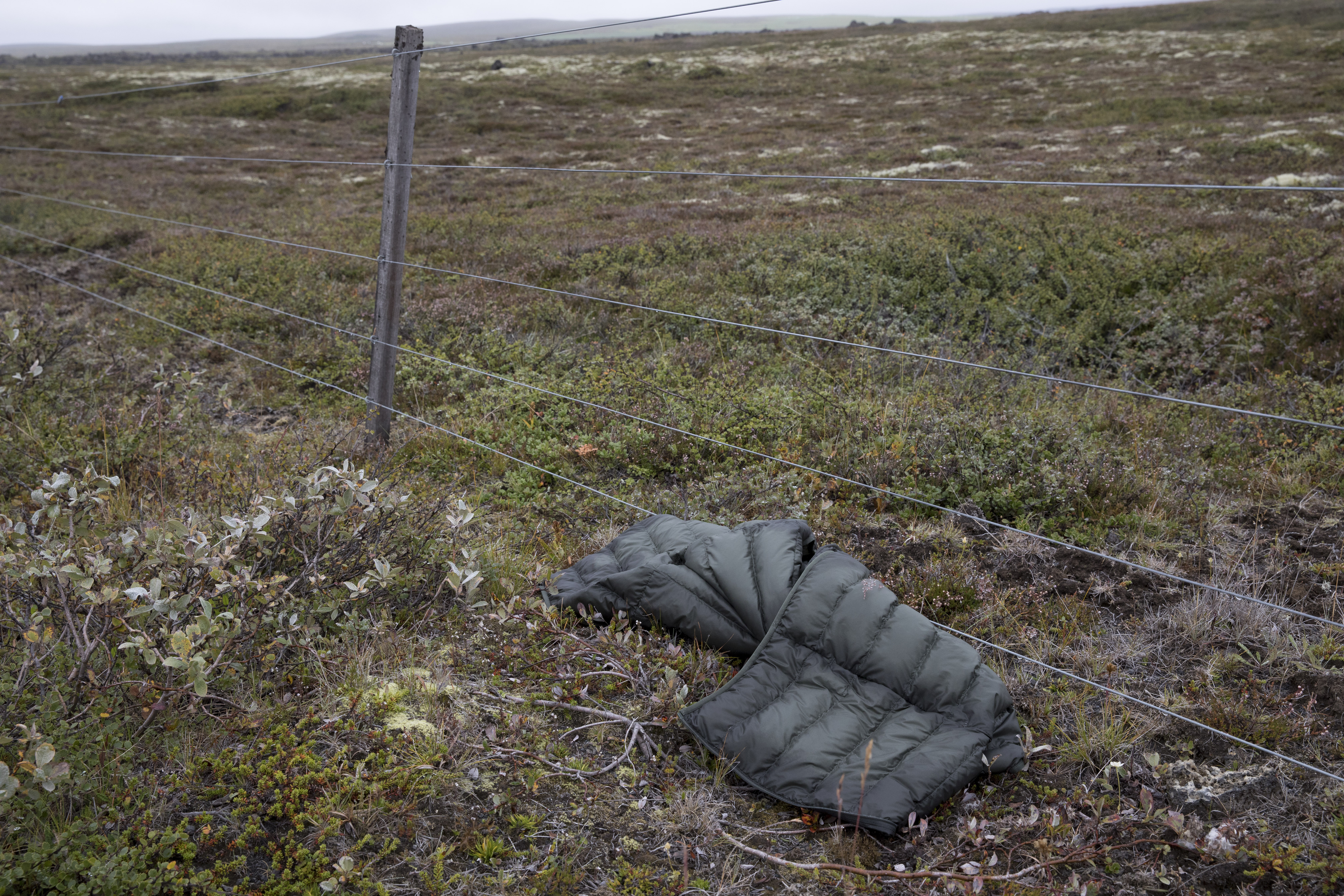 Island, Mývatn (2025)