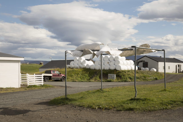 Island, Myvatn (2025)