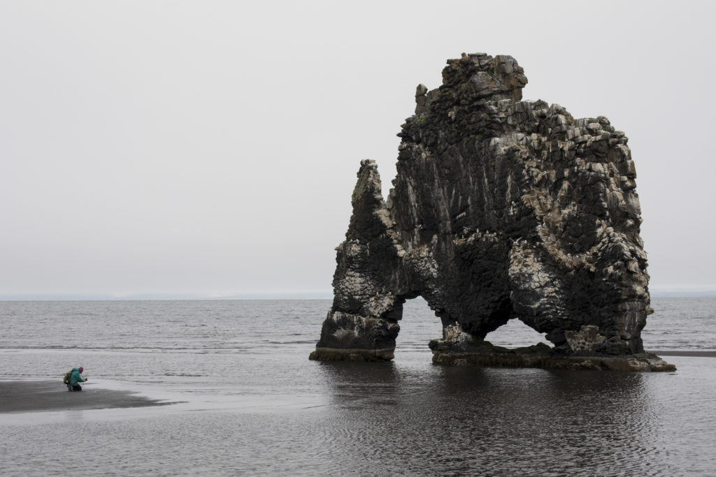 Island, Hvítserkur (2025)
