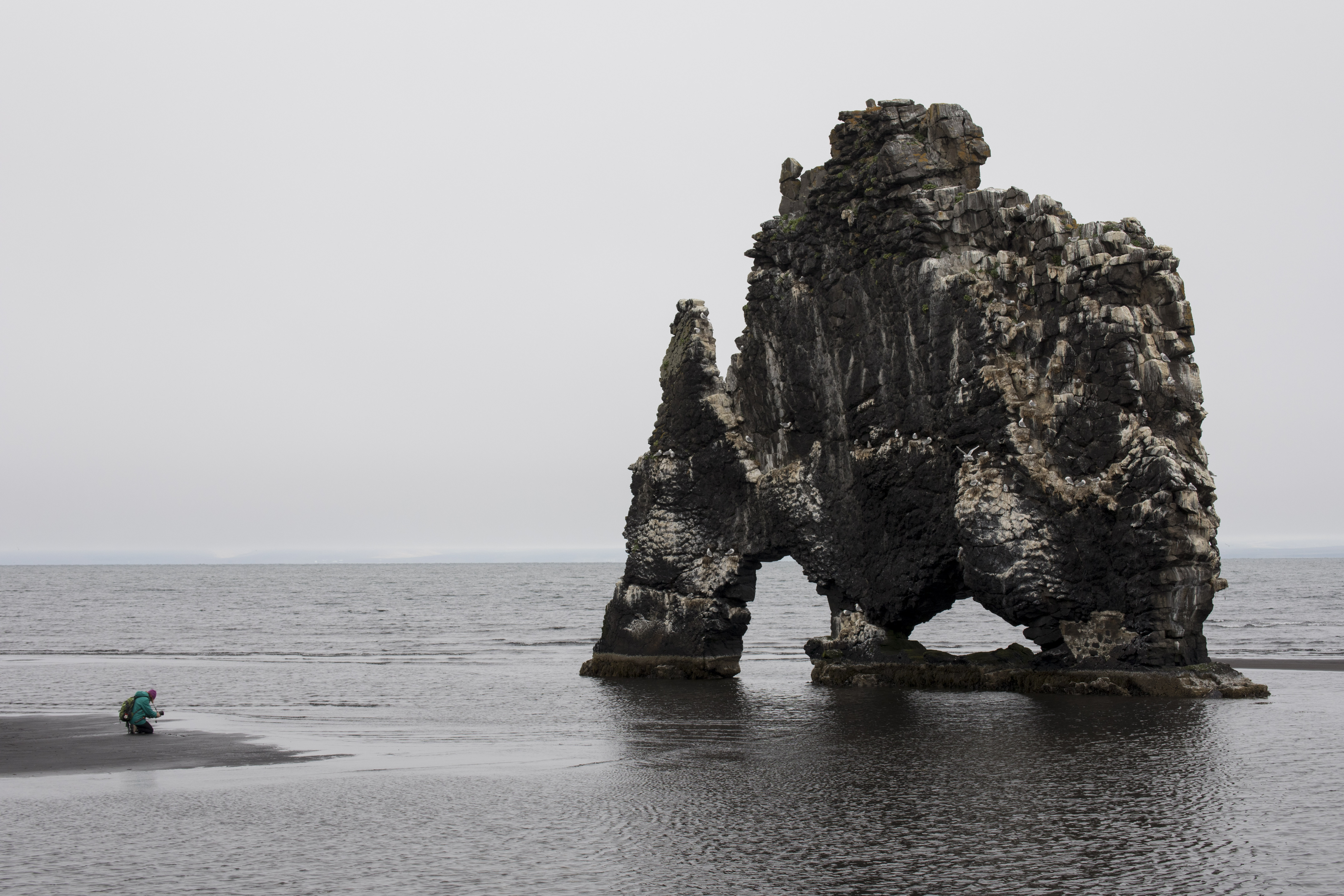 Island, Hvítserkur (2025)