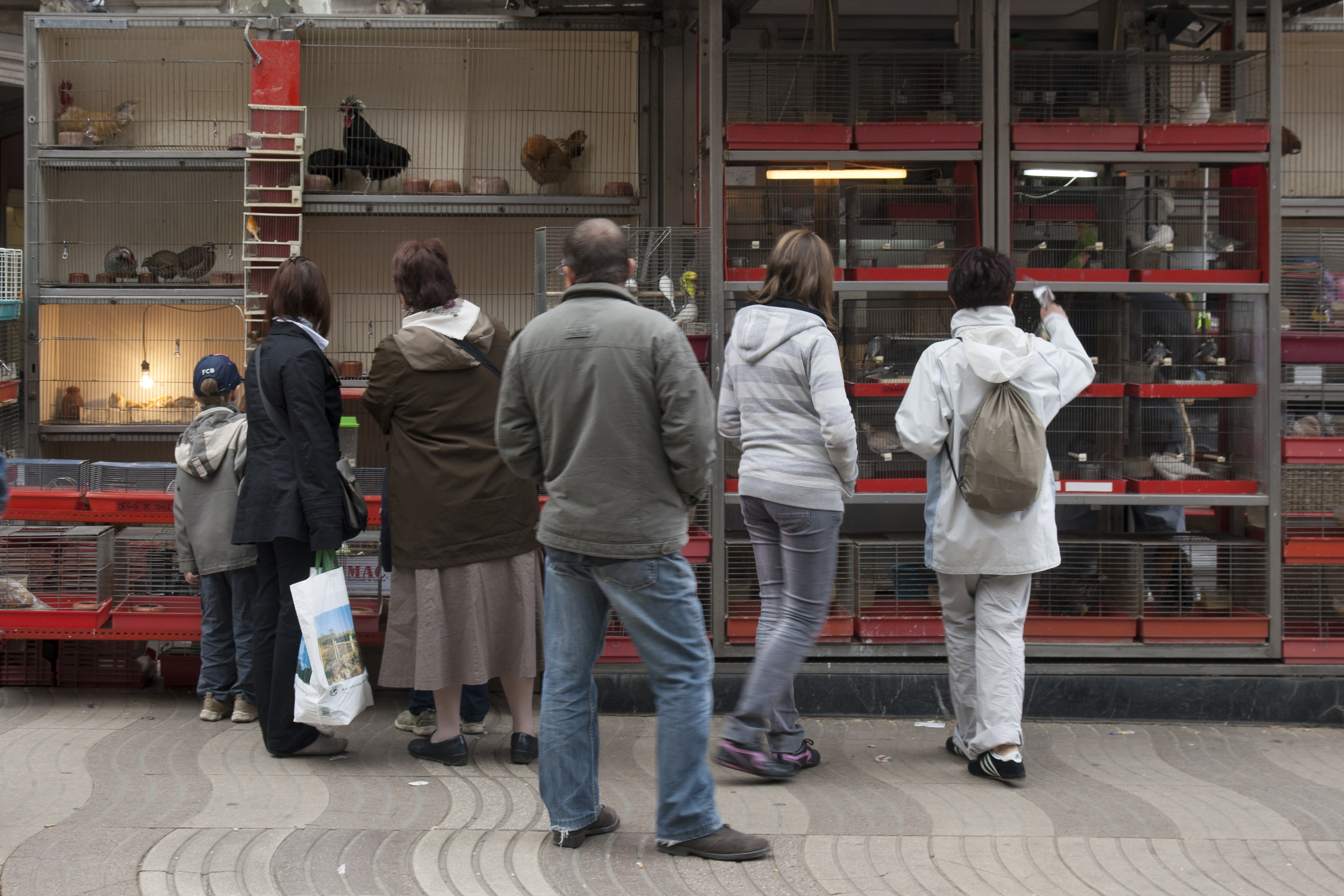 Barcelona (2010) - © Michael Mielke