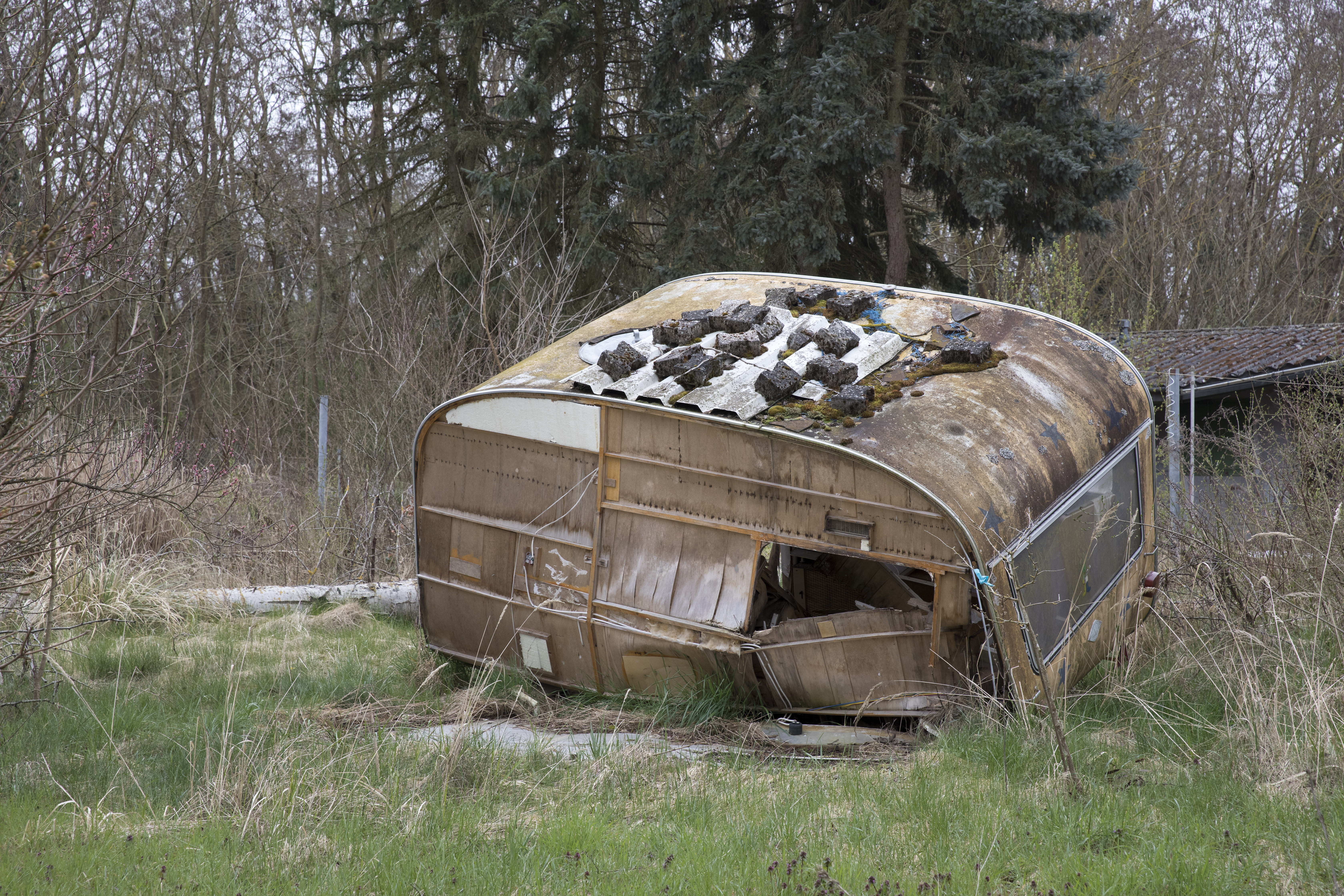 Ingelheim (03/2026) - © Michael Mielke